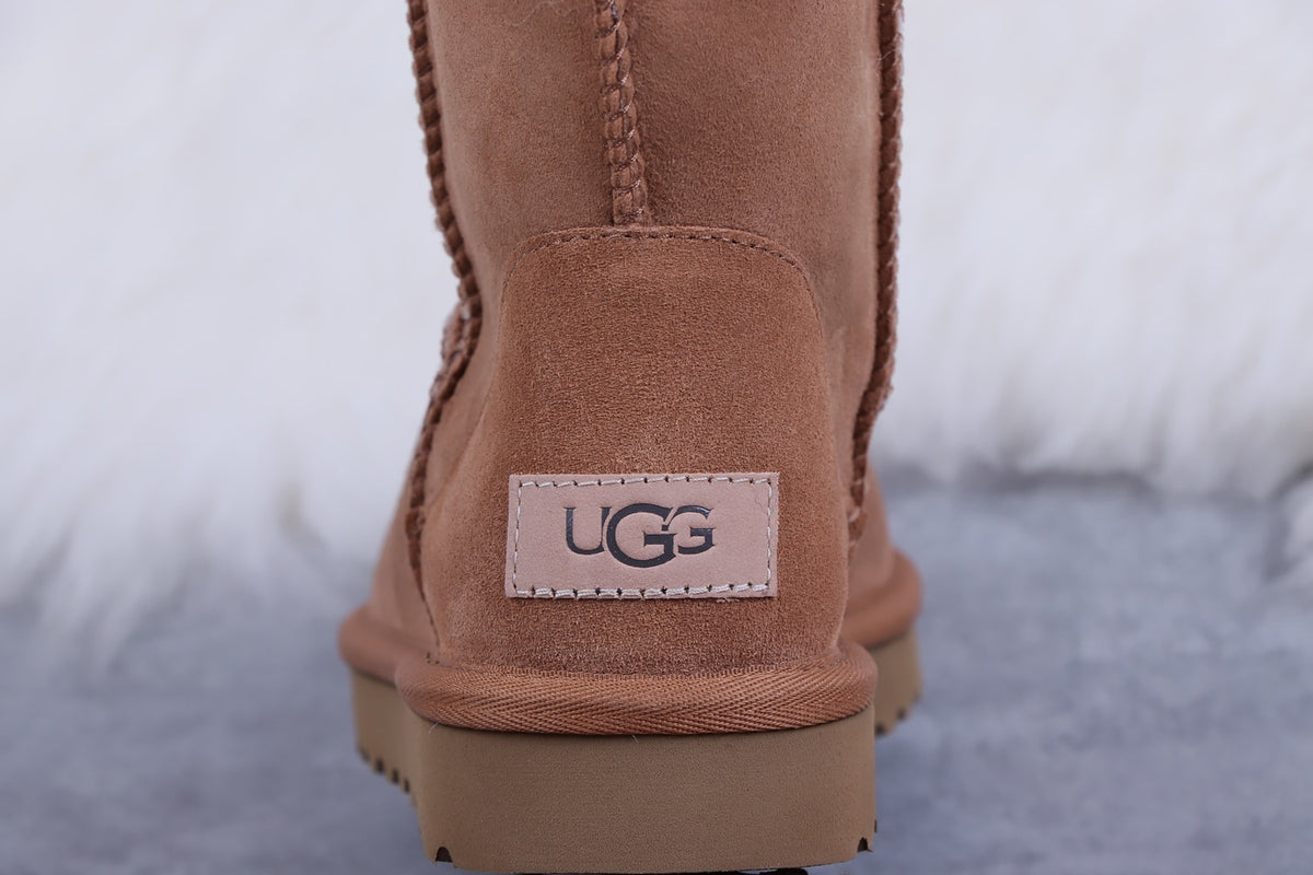 Classic Short II Boots in Chestnut | Style 6223